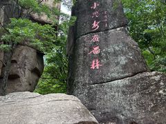 -汤旺河林海奇石景区