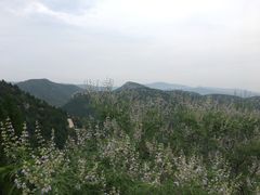 -府君山公园