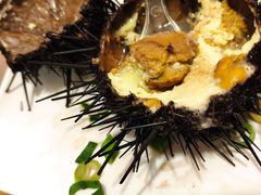 -海胆小馆(东北水饺·春柳店)