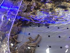 -澜悦港海鲜体验主题餐厅