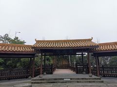 -铁山坪森林公园