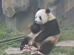 -大连森林动物园