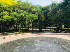 -达活泉公园