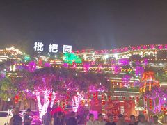 -枇杷园食为鲜火锅(南山店)
