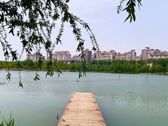 -马家湾湿地公园