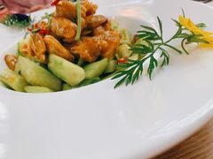 橄榄油蛤蜊肉拌黄瓜-船歌·鱼水饺青岛菜(枫蓝国际购物中心店)