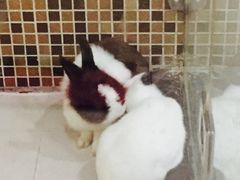 -曦辰书院·书法篆刻
