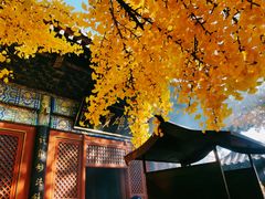 -红螺寺