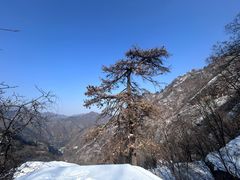 -秦岭终南山世界地质公园翠华山景区