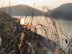 -长沙黑麋峰国家森林公园