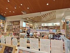 -猫的天空之城概念书店(印象城购物中心店)