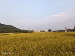 -艾米稻香小镇