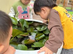 -宾果蒙特梭利托育儿童之家幼儿园(爱琴海店)