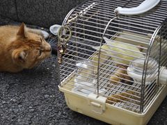 -晓港公园