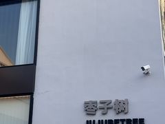 -枣子树·素食餐厅(普陀山店)