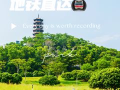 -红花山公园