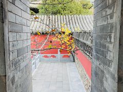 -潭柘寺景区