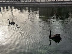 -百泉景区