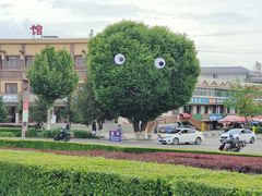 -特克斯八卦城