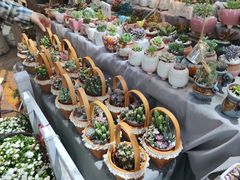 -循礼门鲜花花市(武汉循礼门店)