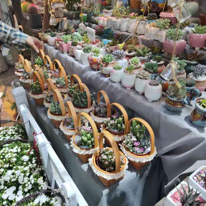 循礼门鲜花市场图片图片