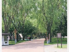 -唐城墙遗址公园