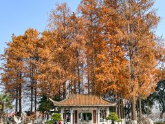 -红山森林动物园