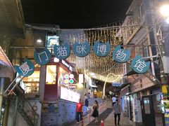 -猫咪博物馆(顶澳仔猫街店)
