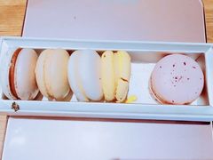 -BLACKSWAN黑天鹅(环球店)