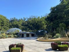 -深圳仙湖植物园