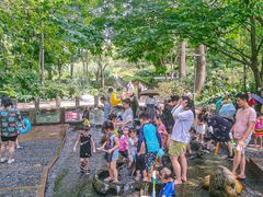 -成都市活水公园