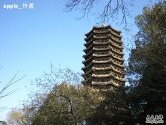-博雅塔