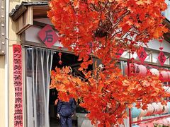 -后湖小院·乡野田园菜