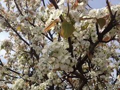 -同济大学(嘉定校区)