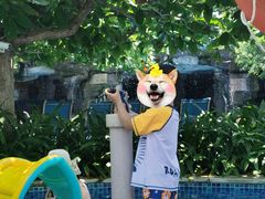 -三亚亚龙湾天域度假酒店