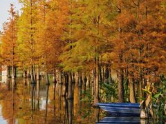 -白鹭湾湿地公园