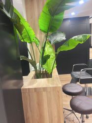 点击看大图 -Garden花園造型