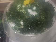 -一叶一世界•素食餐厅(新光天地店)