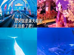 -正佳极地海洋世界