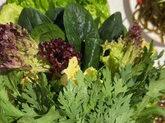 -千牛将·鲜牛肉火锅(开元路店)