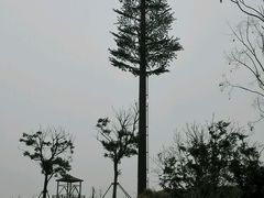 android_upload_pic-梁鸿国家湿地公园