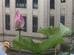 -大连市友谊医院
