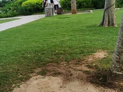 -三亚亚龙湾红树林度假酒店