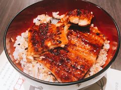 双层鳗鱼重-名代宇奈备长炭烧鳗鱼居酒屋