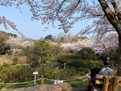 景点-汉拿树木园