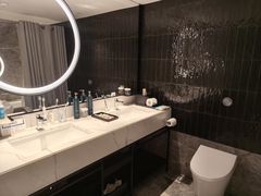 -新加坡乌节希尔顿酒店 (SG Clean)