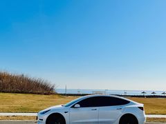 -TESLA 特斯拉(郑州正弘城体验店)
