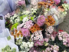 -循礼门鲜花花市(武汉循礼门店)