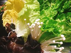 -手选潮汕鲜活牛肉火锅(二七广场店)