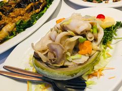 -食为先(Shark Fin)